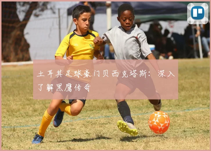 土耳其足球豪门贝西克塔斯：深入了解黑鹰传奇