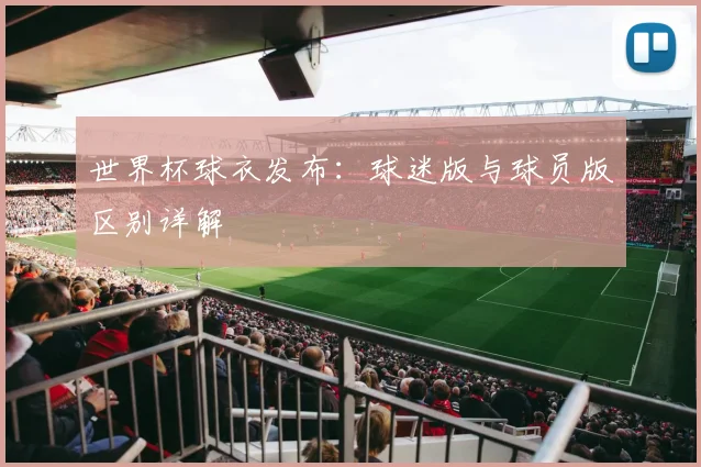 世界杯球衣发布：球迷版与球员版区别详解